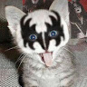 Meet your Posher, Maddy